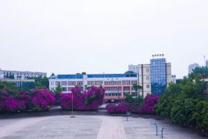四川爱华学院2023年招生简章招生专业和资助政策
