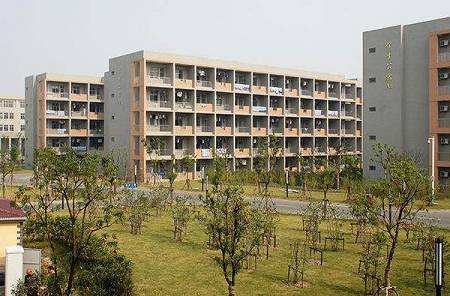 学校5