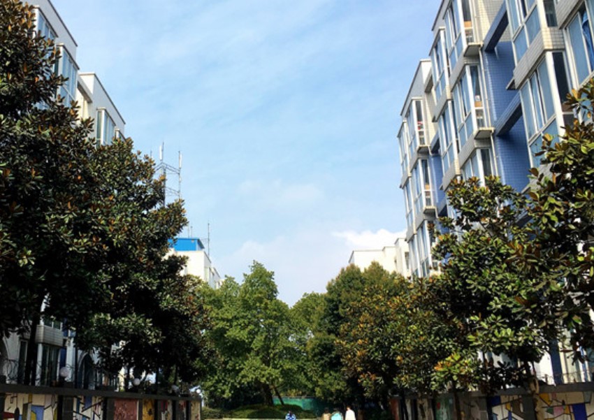 四川大学附设华西卫生学校校园一角