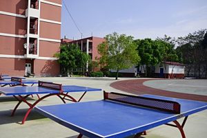2024年成都市新津区成外学校学校简介_办学思路是什么