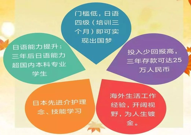 日本介护班带薪进修实习计划”的优势
