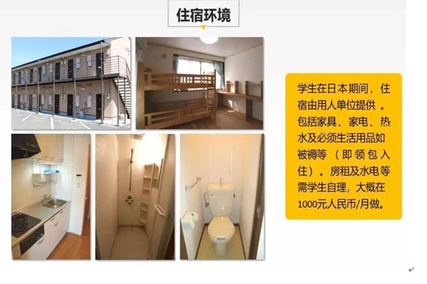 介护带薪实习期间住宿环境
