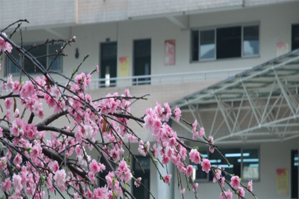 成都市财贸职业高级中学校