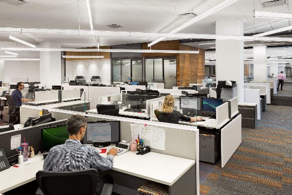 5ce764acc030e.jpg 5ce50f7fba781.jpg