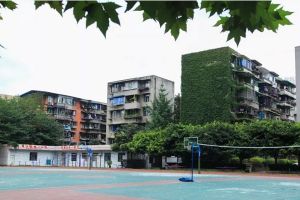 成都职业学校哪家好 来成都市蜀兴职业中学看博物馆啦!