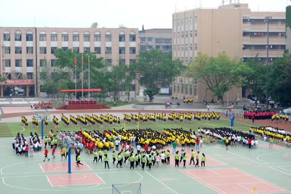 师范中职学校专业