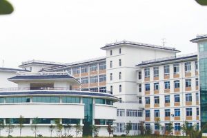 四川爱华学院2020年招生简章 四川爱华学院招生专业