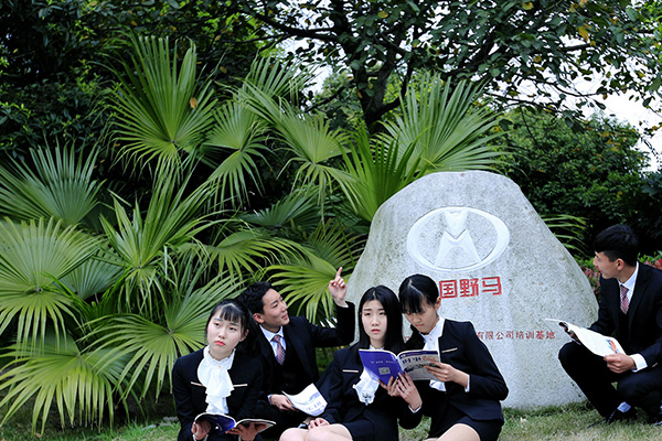 成都汽车职业技术学校招生条件