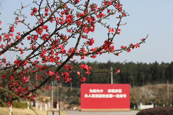 幼儿师范高等专科学校