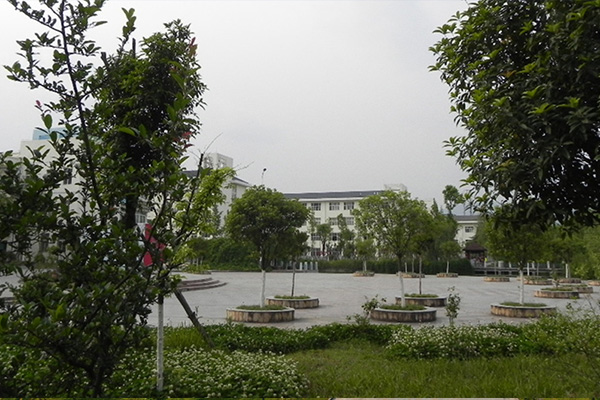 成都棠湖科学技术学校怎么样