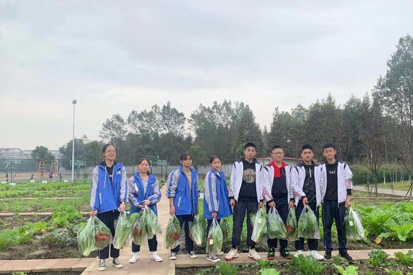 树德怀远中学开展劳动求知活动