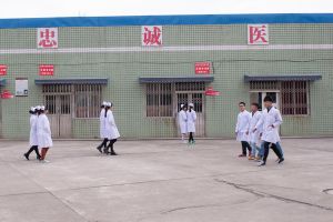 成都中专学校招生|成都铁路卫生学校专业介绍
