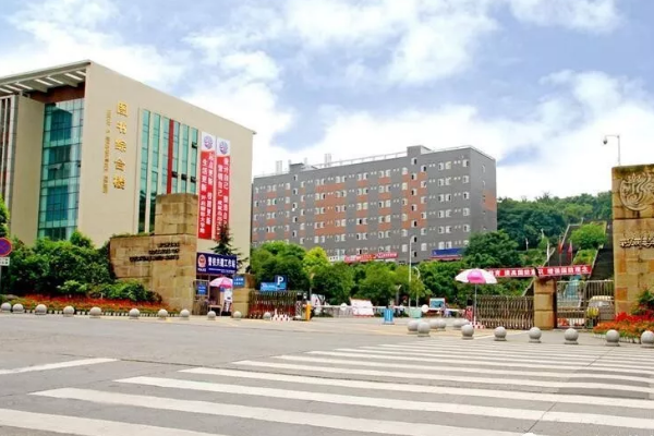 四川文化艺术学院