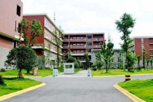 2020年成都职业学校四川商贸职业学校招生简章招生条件