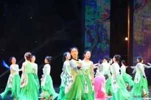 成都高职院校川南幼儿师范高等专科学校禁毒文演获佳绩