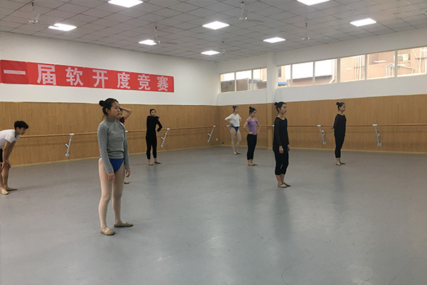 四川文化艺术学院