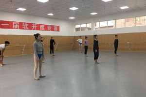 四川文化艺术学院2020年校本部考点艺术类专业校考公告