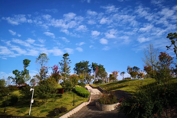 成都五月花高级技工学校新年祝福