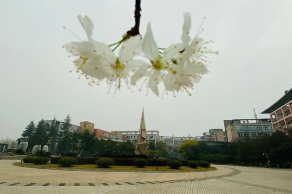 四川城市技师学院