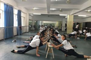 成都高中学校四川现代艺术学校学子艺考夺佳绩专业上线创新高