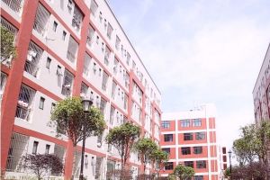 四川中职学校防疫在行动|四川省商务学校开展防控消毒工作