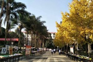 四川中职院校开“云教研” 四川城市技师学院造“云课堂”