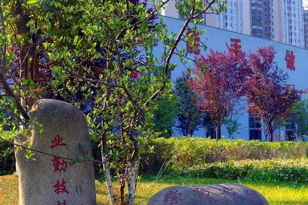 成都中职学校成都电子信息学校做近期工作通报