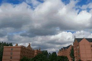 成都希望职业学校开展2020年艺体生分享会