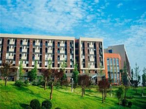 初中毕业学四川城市技师学院室内设计好找工作吗