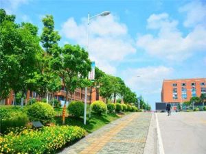 四川五月花技师学校幼师专业好不好