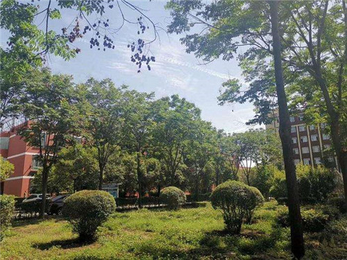 四川理工技师学院哪家川菜好吃