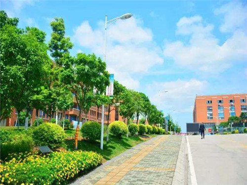 学习五月花学校软件开发专业前景怎么样