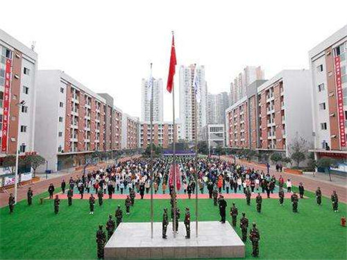 五冶大学电子商务专业主要是做些什么