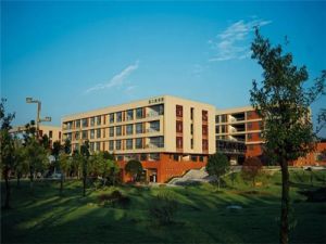 四川理工技师学院幼师课程学什么？