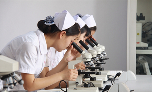 五月花学校