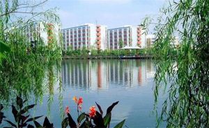 四川城市技师学院物流管理怎么样？