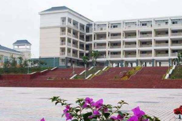 绵阳南山中学双语学校是公立还是私立