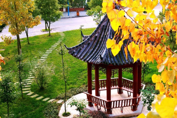 绵阳南山中学实验学校