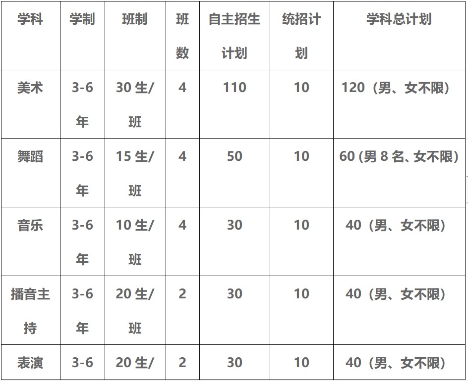 2021年成艺附中招生专业