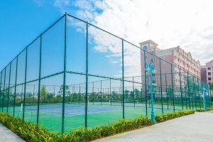 四川师范大学幼师学院口碑