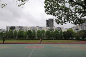 2021四川省大邑中学录取分数线