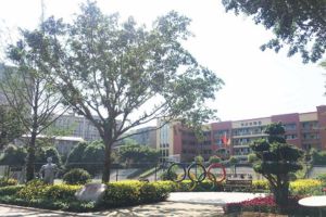 2020成都高中学校崇州怀远中学高考喜报