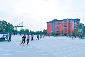 成都广信数字技术职业学校是普高还是职高