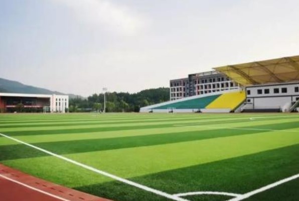 天府新区通用航空职业学院