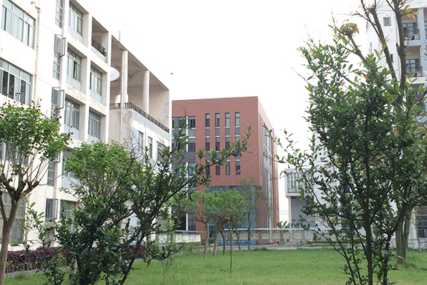 金堂县职业高级中学校园环境