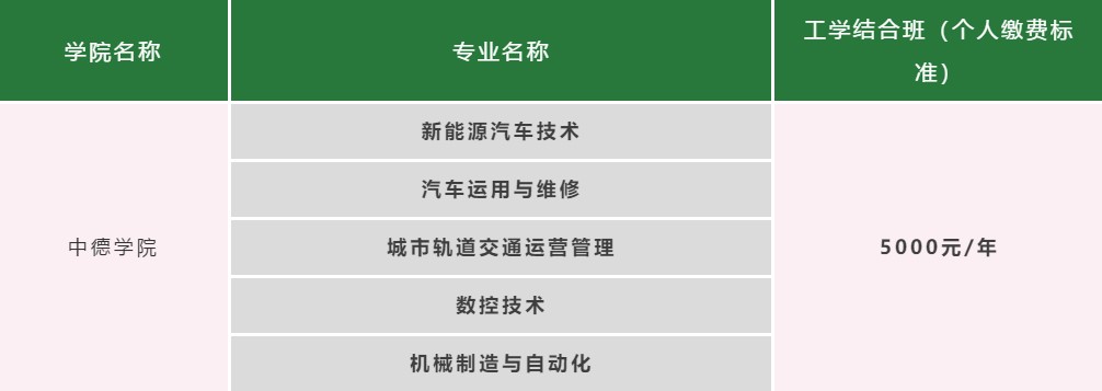 四川科技职业学院中德学院招生专业