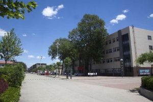 男生学什么技术或专业比较好