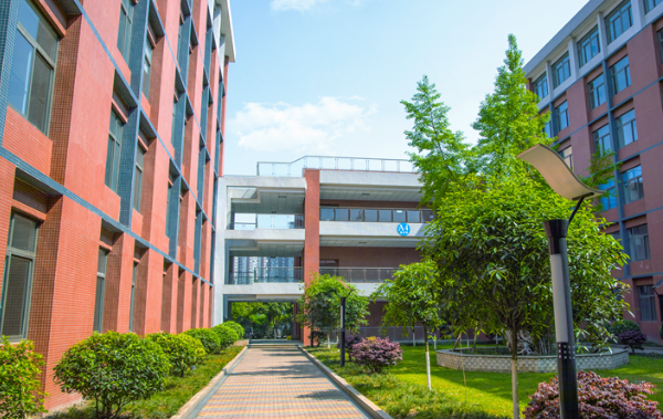 托普学院学费