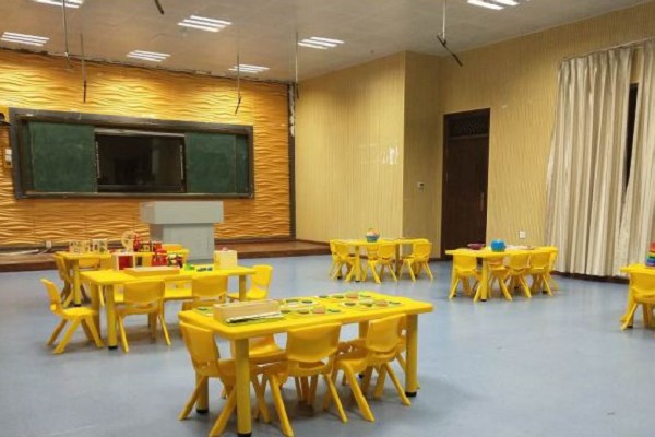 四川师范大学幼师学院招生专业