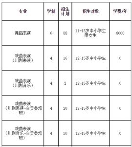 2021年四川艺术职业学院附中招生简章|招生专业|录取分数线